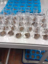 Soil samples for slurry test.