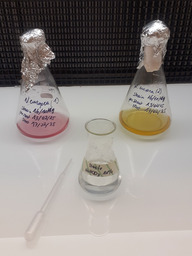 Strains used in bio-assays.